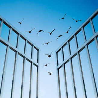 Meer registraties in 2024 over gedwongen zorg